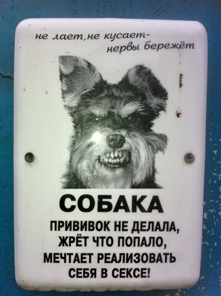 Берегите собак