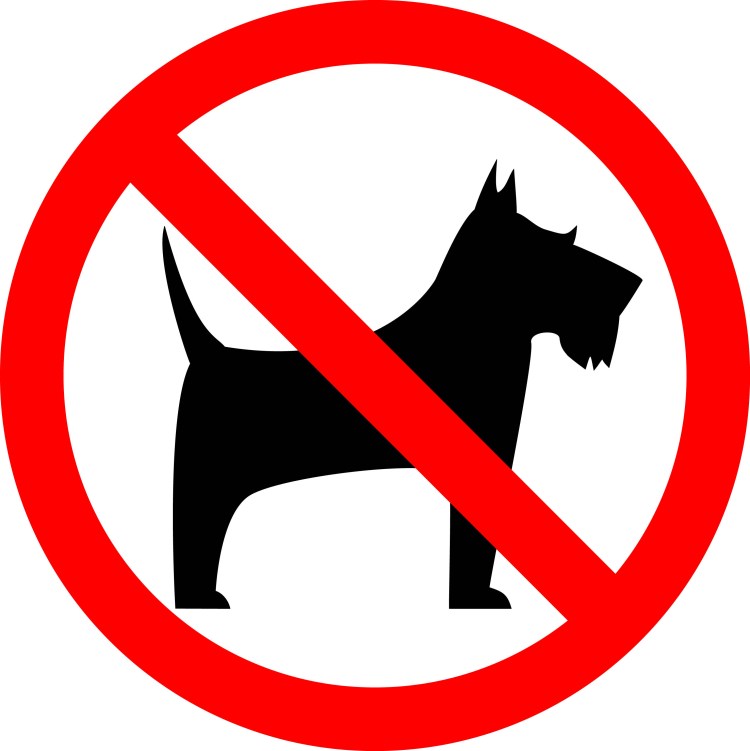 Перечеркнутая собака