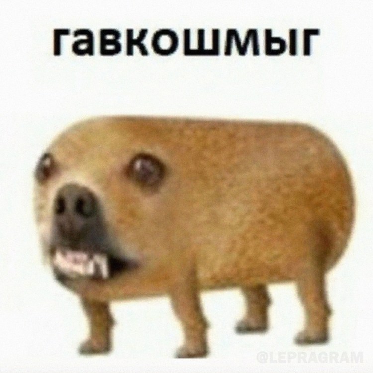 Мемы животные