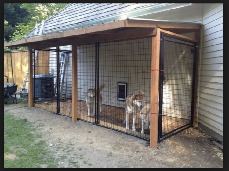 Вольер для собаки в частном доме