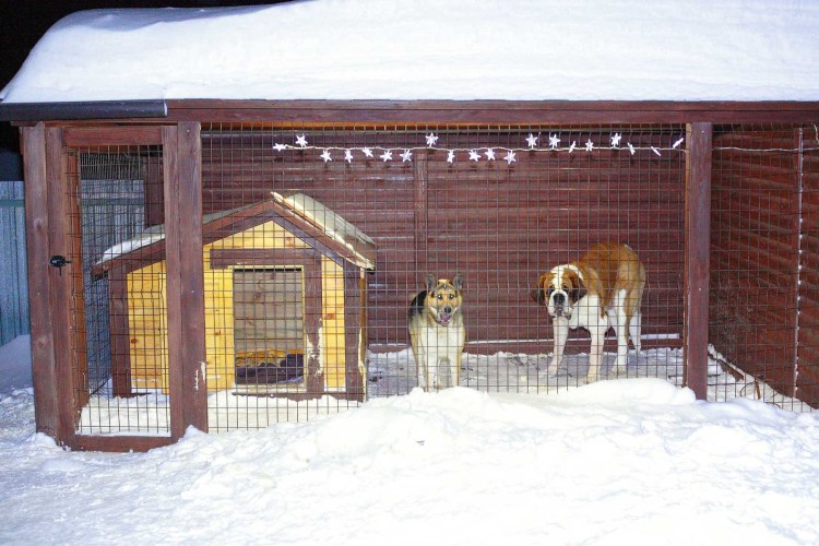 Вольер для 2 собак алабай