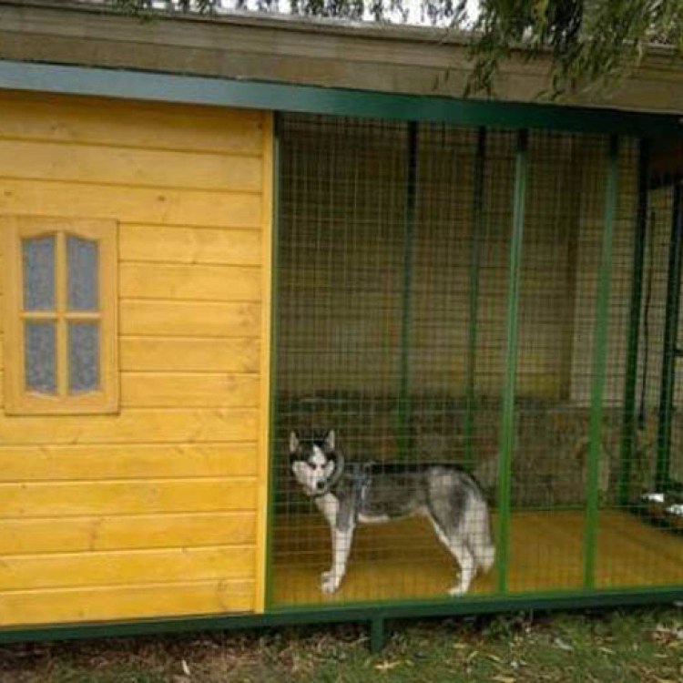 Вольер для собаки хаски