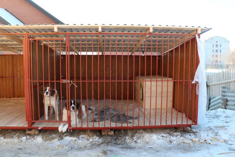 Навес для собаки