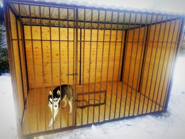 Вольер для собаки хаски
