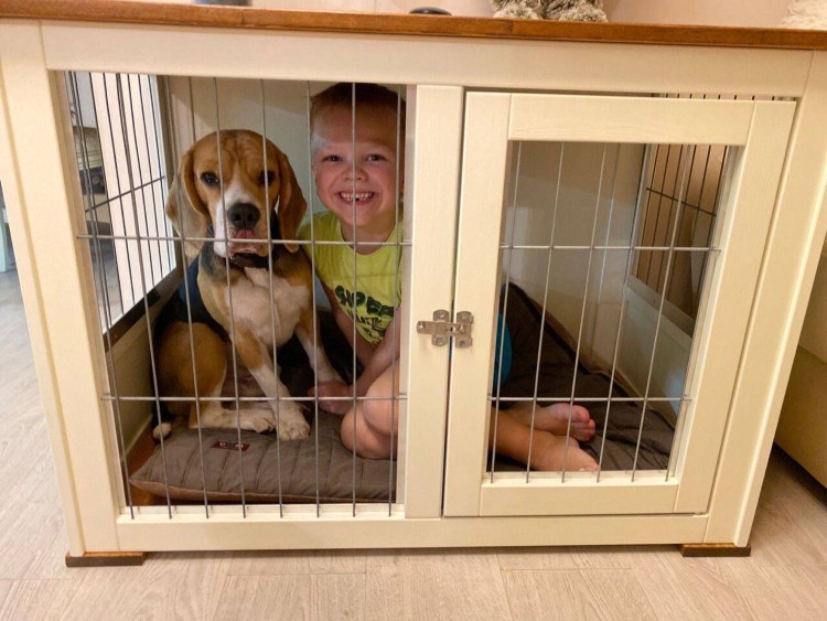 Клетка для собак бигля