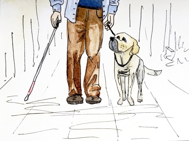 Шлейка для собаки поводыря