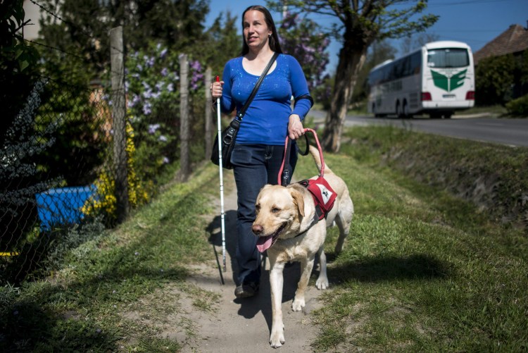 Поводырь Сергей Александрович