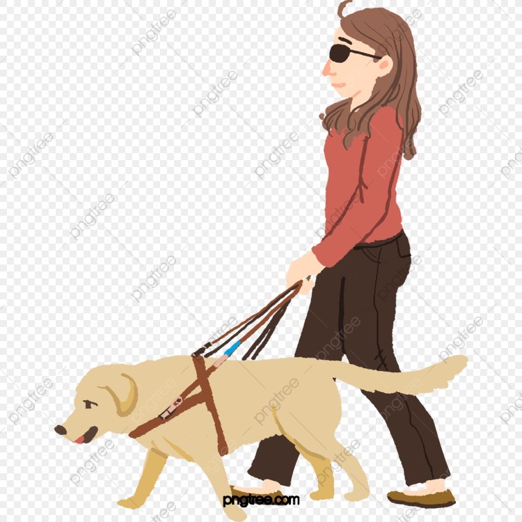 Собака поводырь рисунок