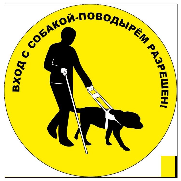 Золотистый ретривер поводырь