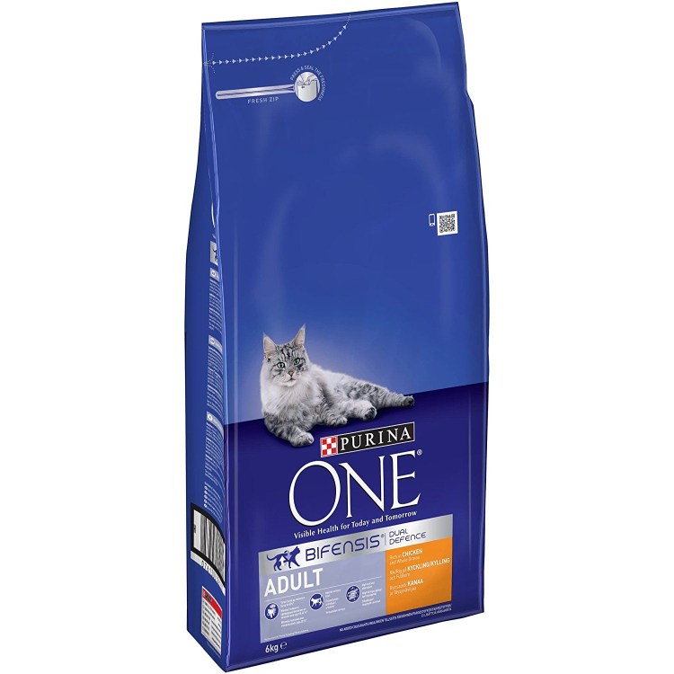 Пурина Кэт one для котят