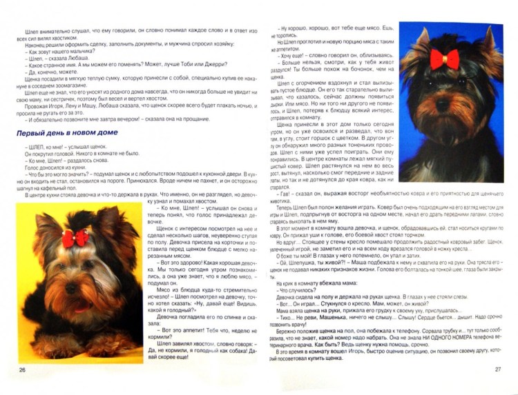 Список для йорков собак