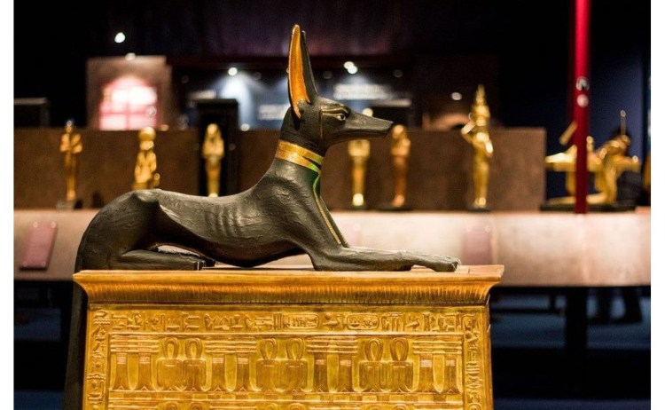 Древнеегипетская порода собак Анубис