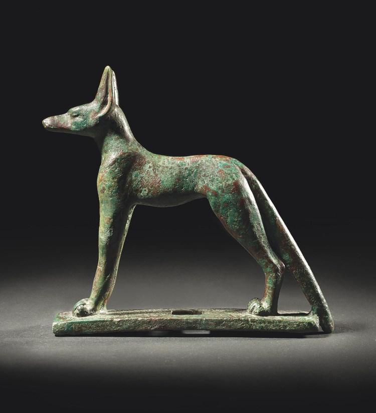 Египетские собаки породы Анубис