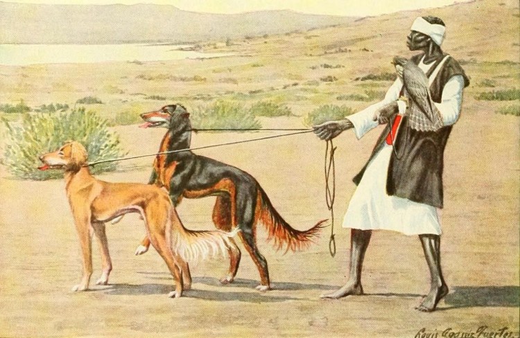 Сокровища Тутанхамона Анубис