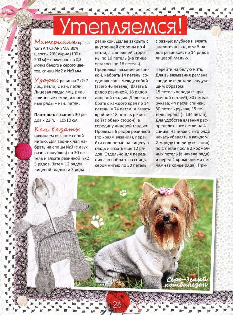 Схема вязания крючком одежды для собак мелких пород