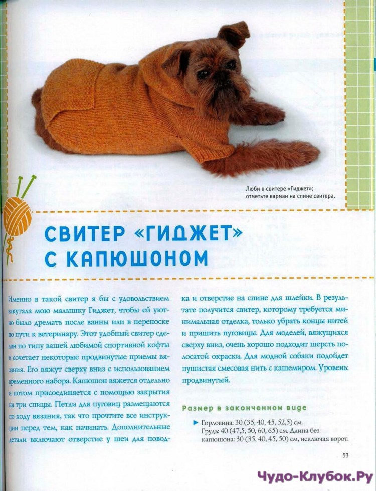 Вязаная одежда для собак книга
