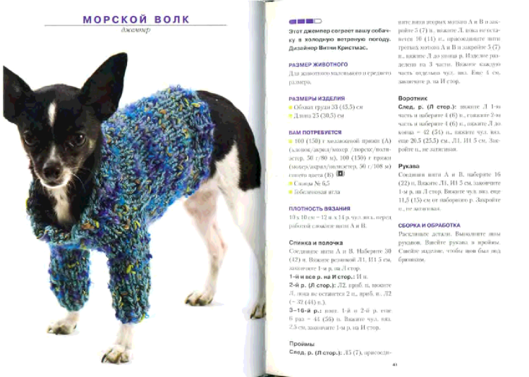 Схема вязания спицами свитера для собаки чихуа