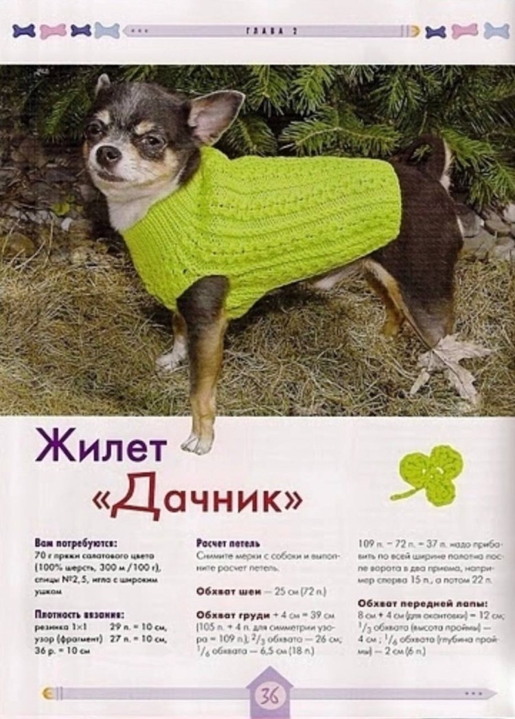 Вязание жилетки для собаки с описанием спицами