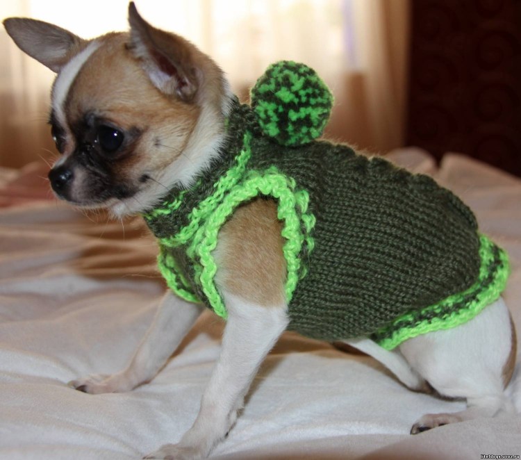 Жилетка для собаки крючком