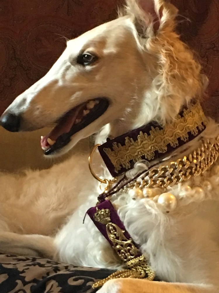 Портрет пёс Аристократ