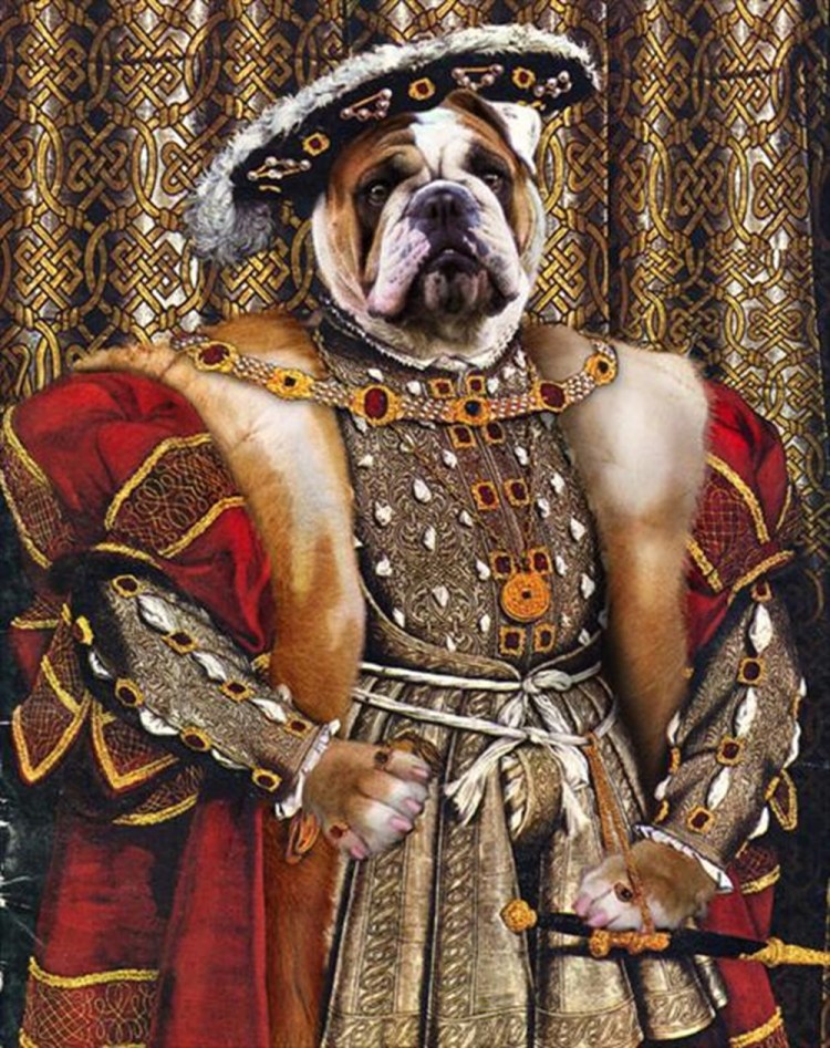 Аристократические собаки