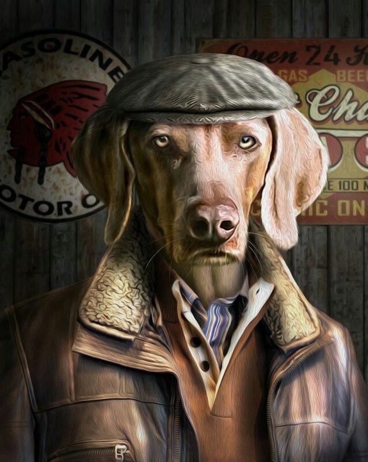 Русская псовая борзая белая