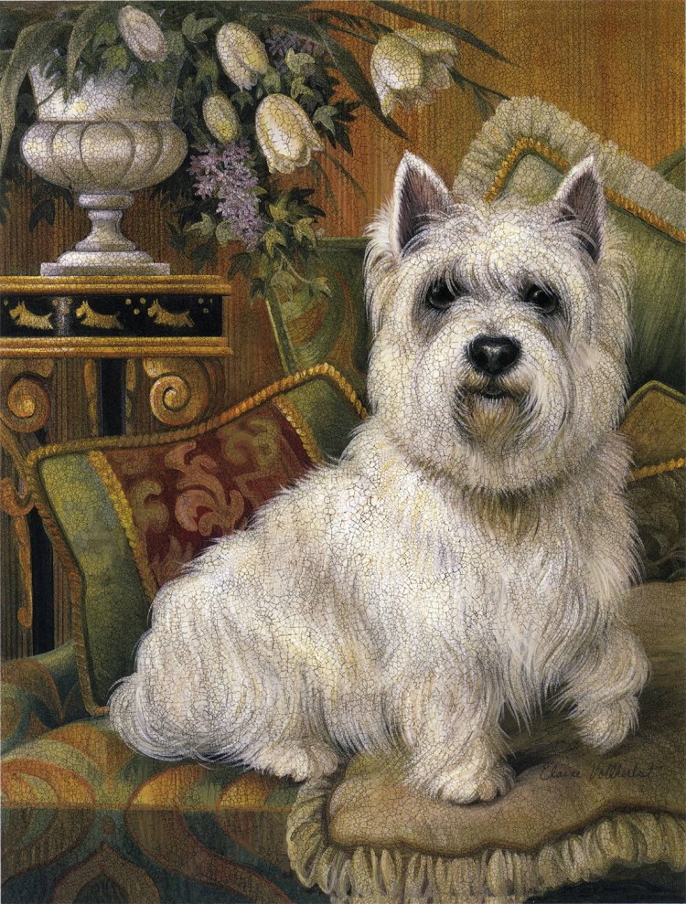 Нарядные собачки