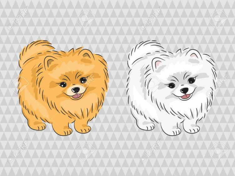 Веселая собака