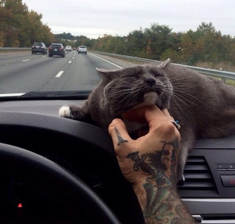 А С Ч А С Т Ь Е тем и непривычно,