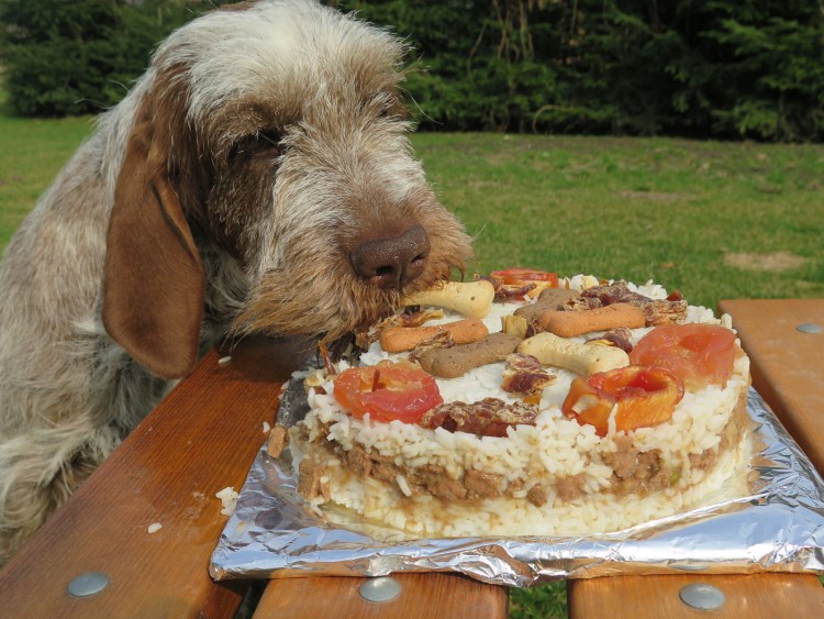Мясной торт для собаки