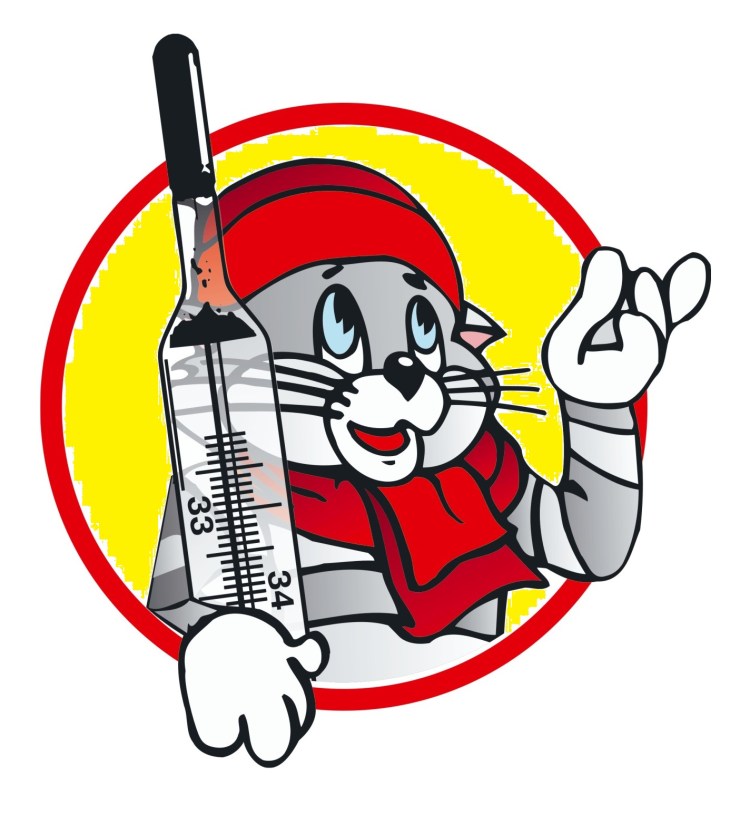 Больной котик с градусником