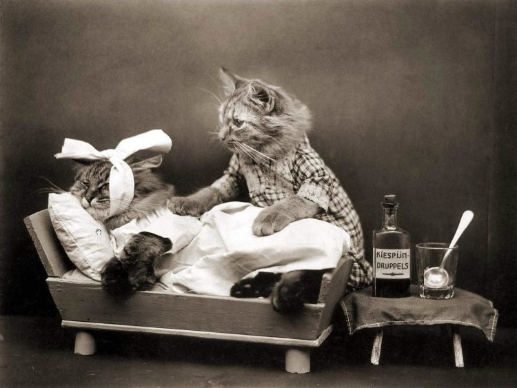 Джой Кэмпбелл художница картины