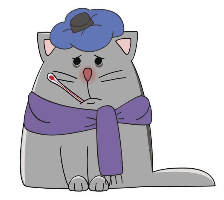 Котенок заболел