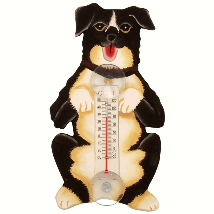 Ложись спать пораньше