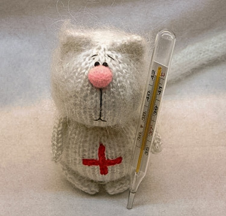 Котейки с градусником