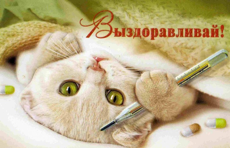 Котик болеет