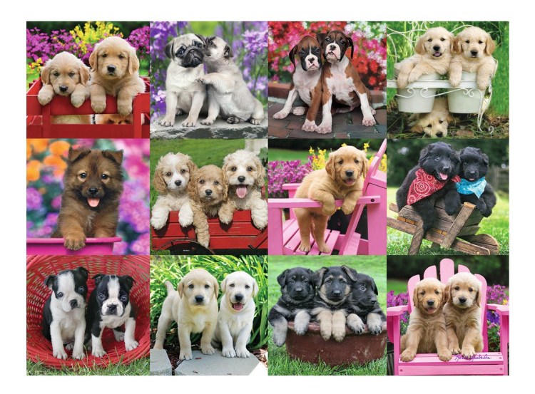 Фотоколлаж собак