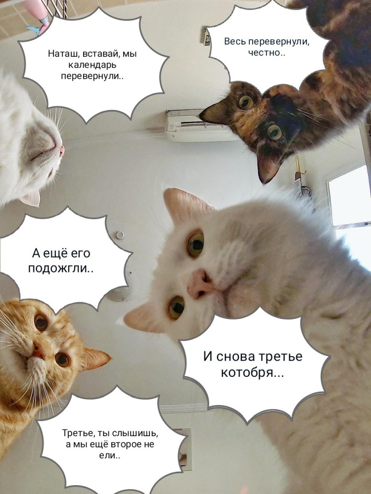 Наташ ты спишь