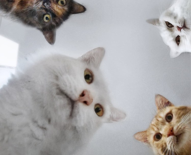 Наташа мы все уронили