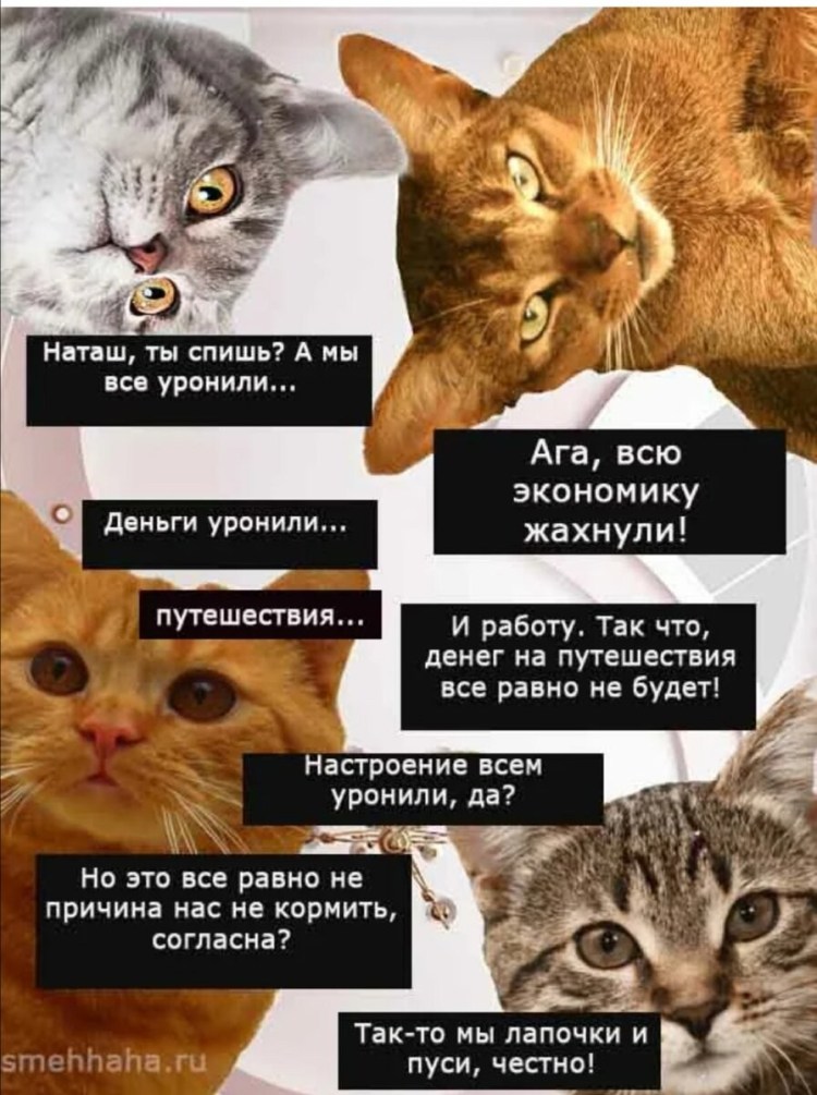 Наташа вставай