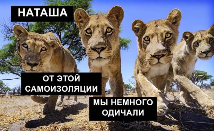 Мы всë уронили