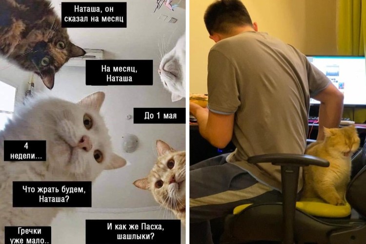 Наташа мы все уронили