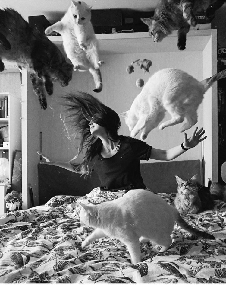 Наташа и коты мемы