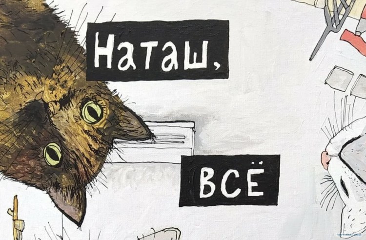 Мемы с котами и Наташей