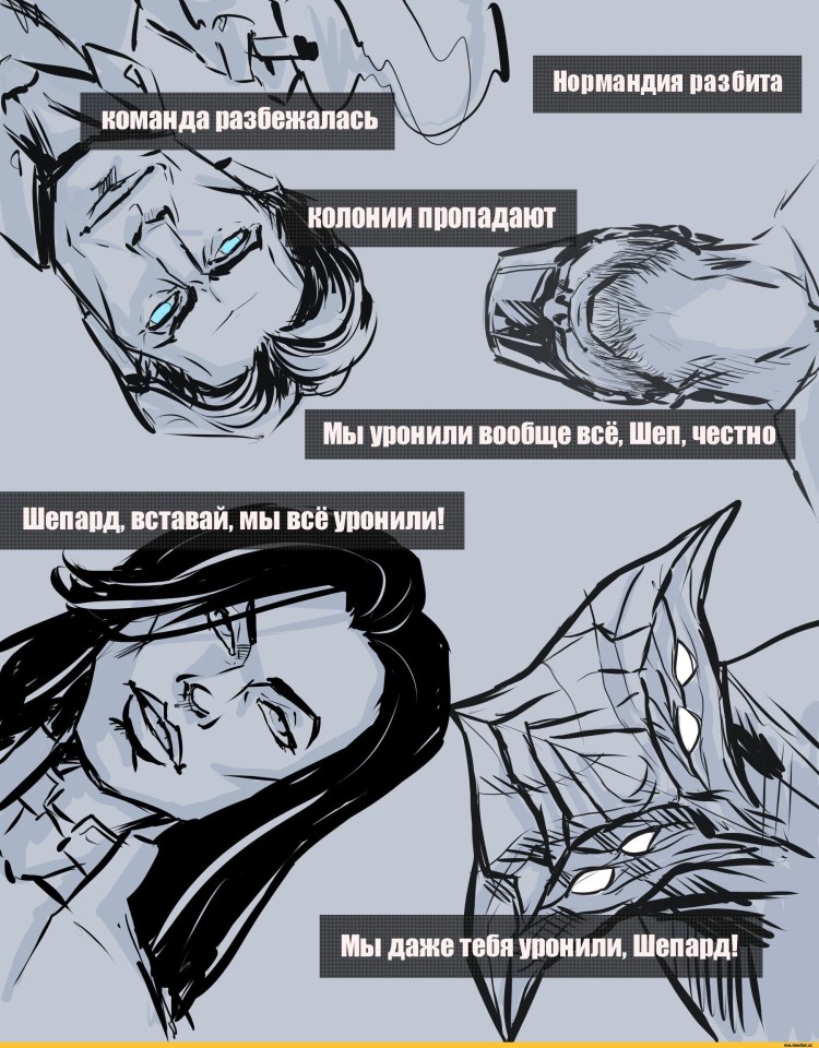 Наташа и котики