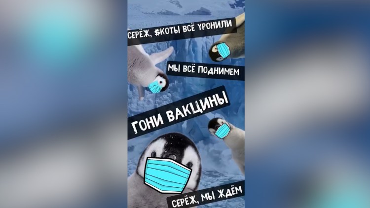 Мем Наташа мы все уронили