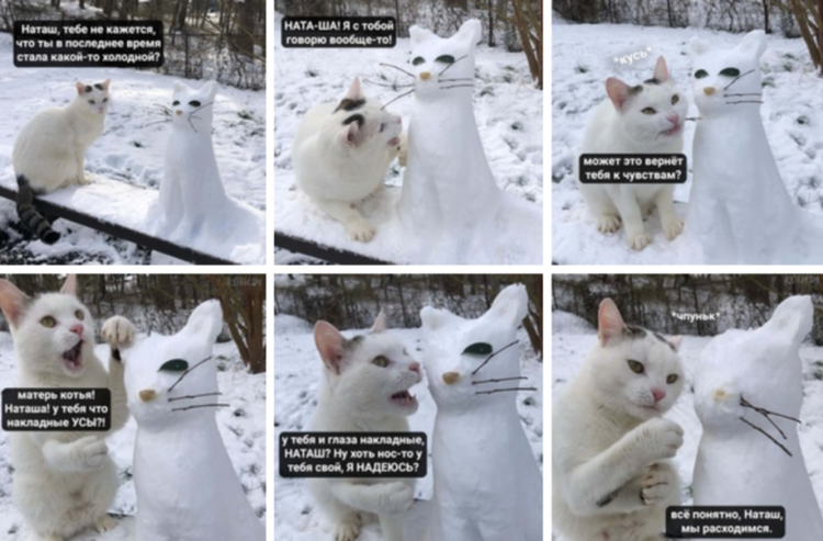 Наташа мы все уронили коты