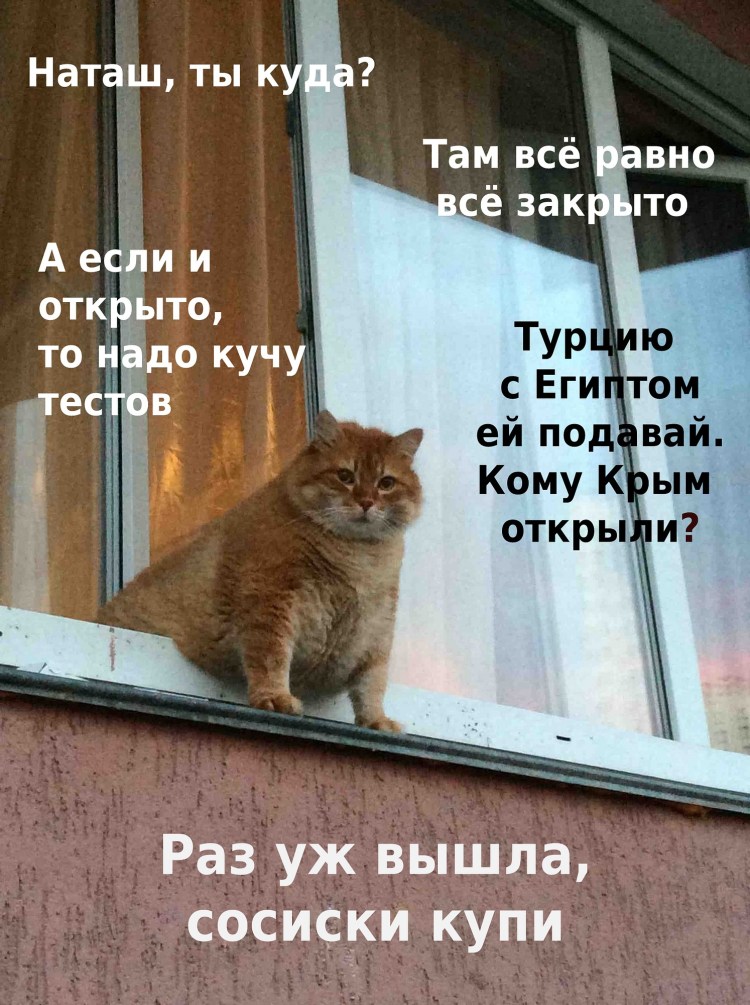 Наташа и коты новое