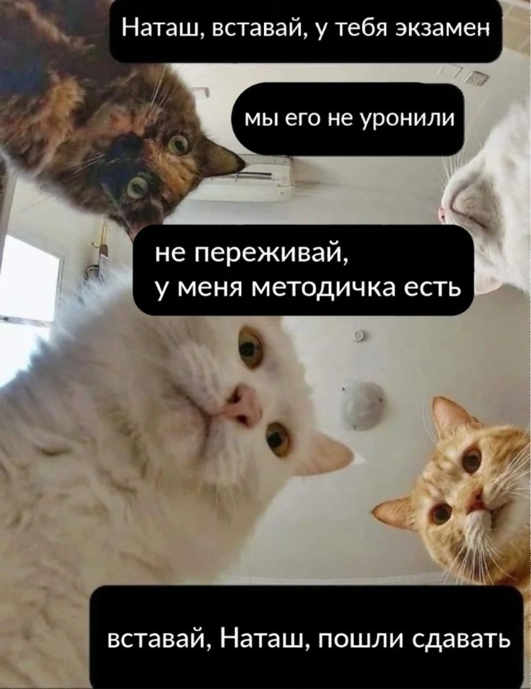 Наташа вставай