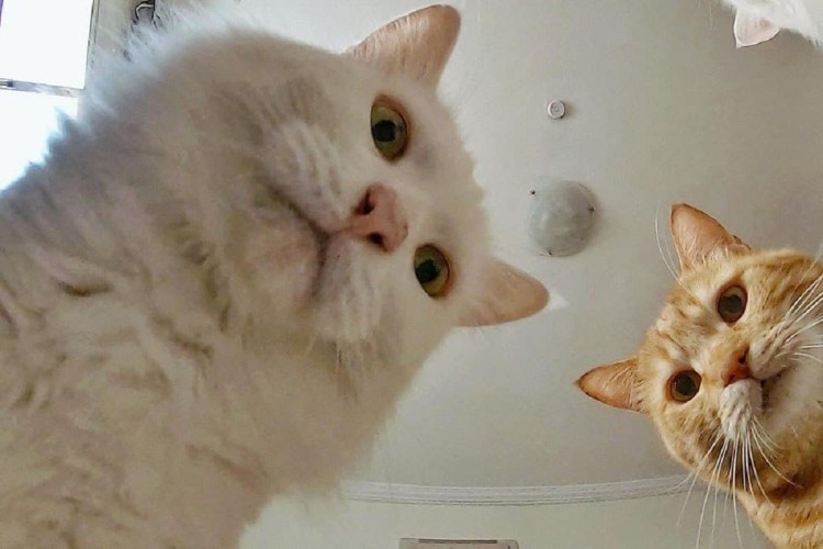 Наташа все будет хорошо